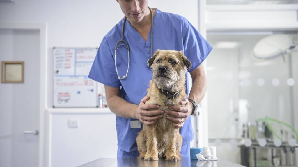 Home_Care_and_How_to_Keep_Watch