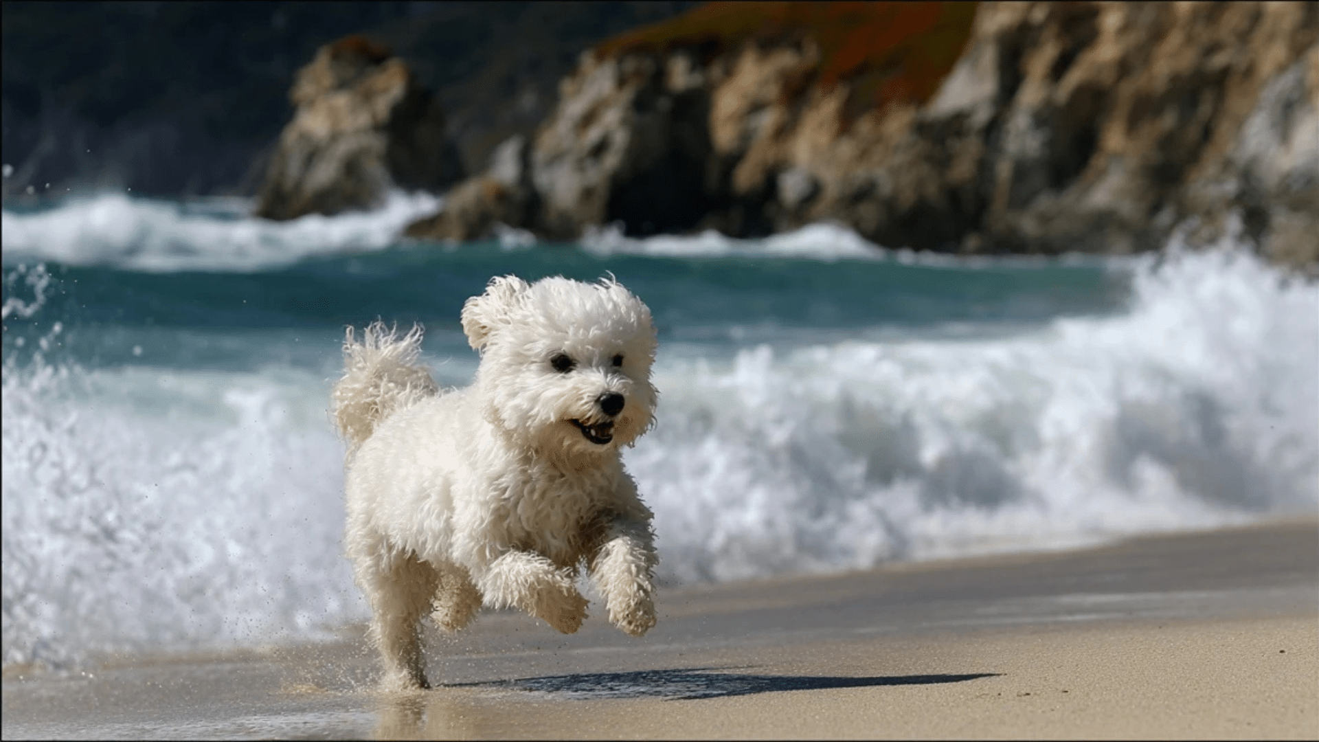 Carmel-by-the-Sea