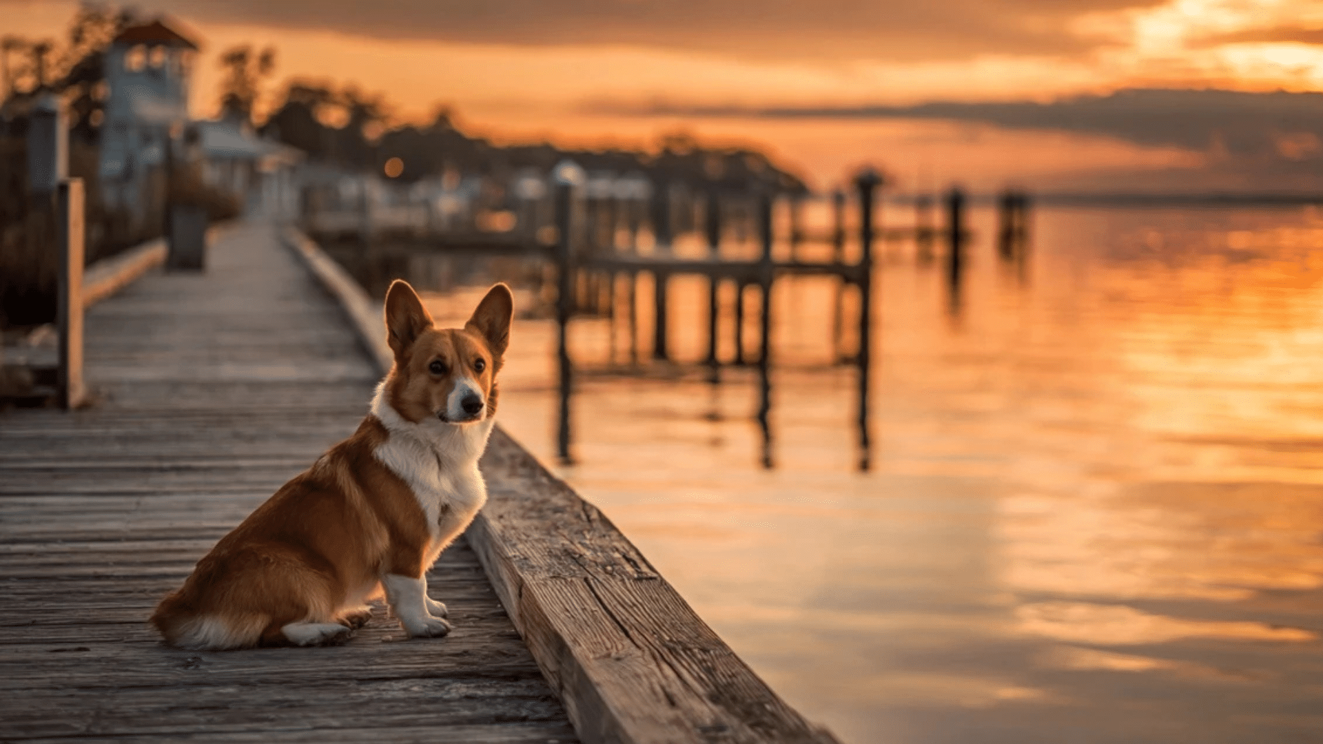 Fairhope