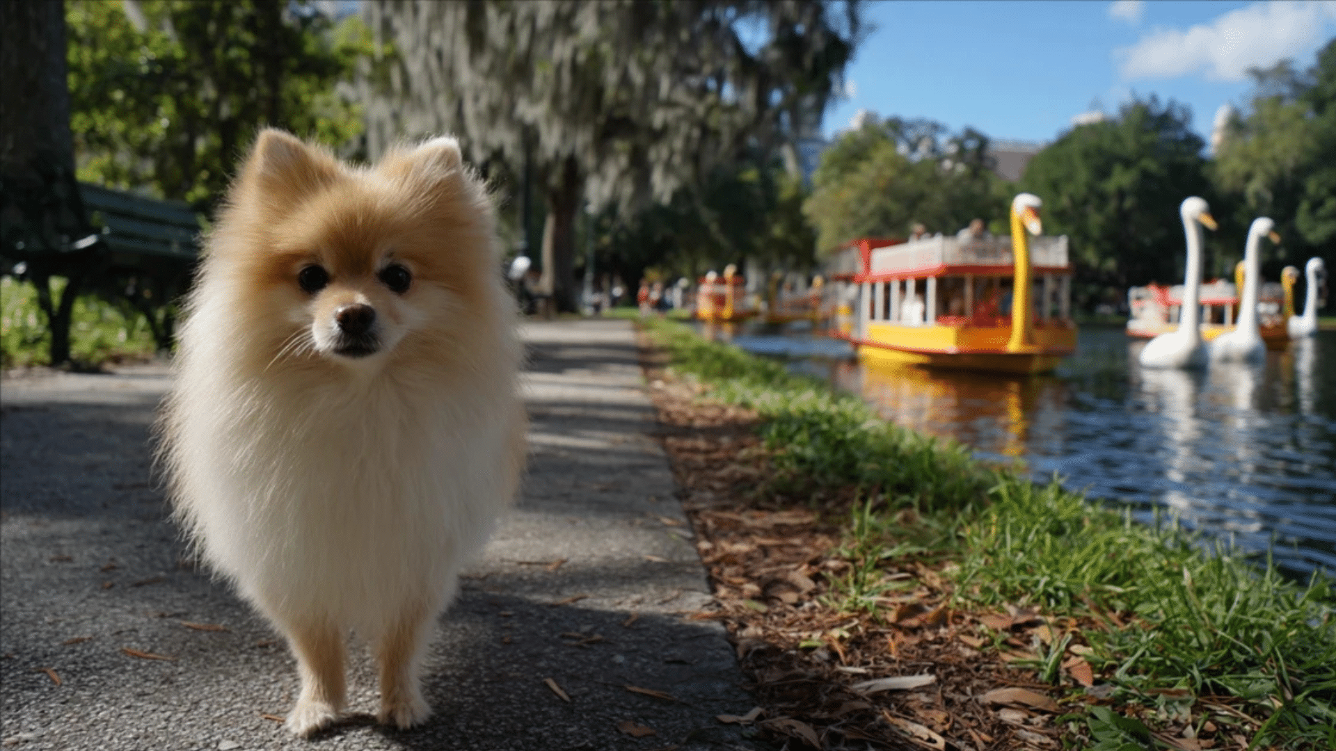 Orlando