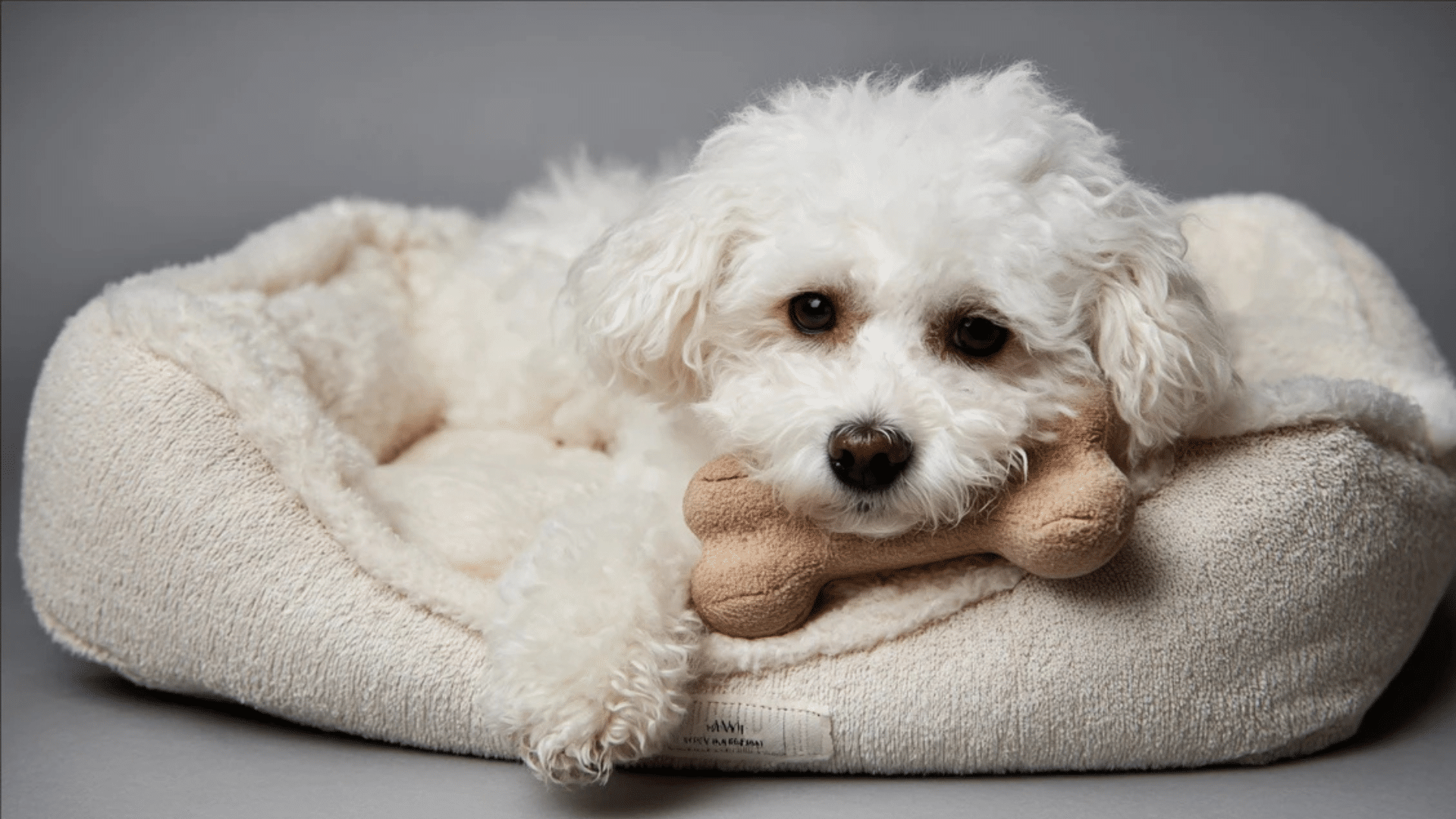 plush-comfort-toy
