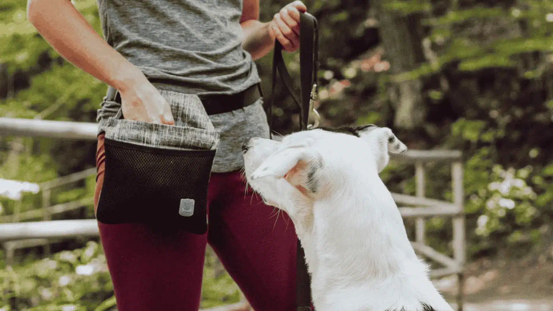 A woman with a backpack holds a dog's leash, showcasing a practical dog treat pouch for pet training and rewards