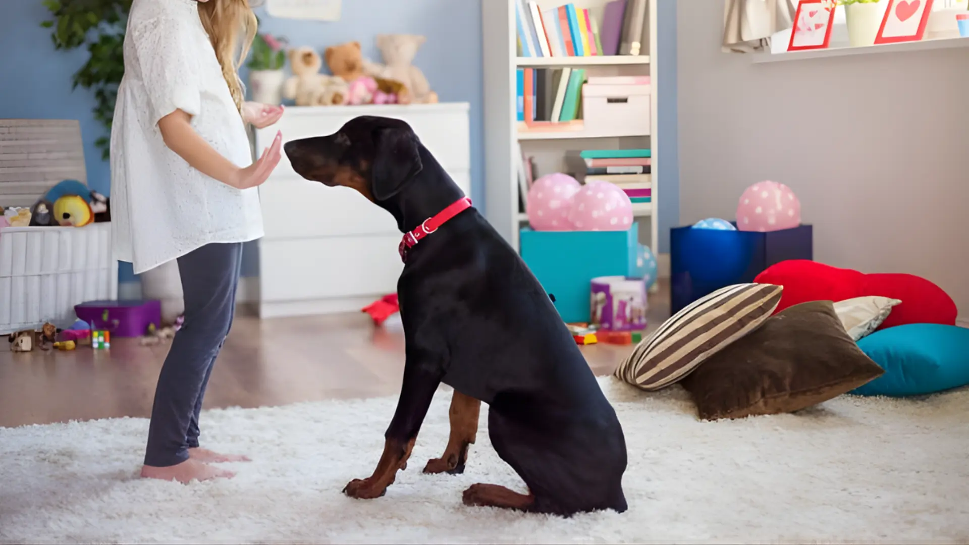 A woman is petting her dog as part of their home training session