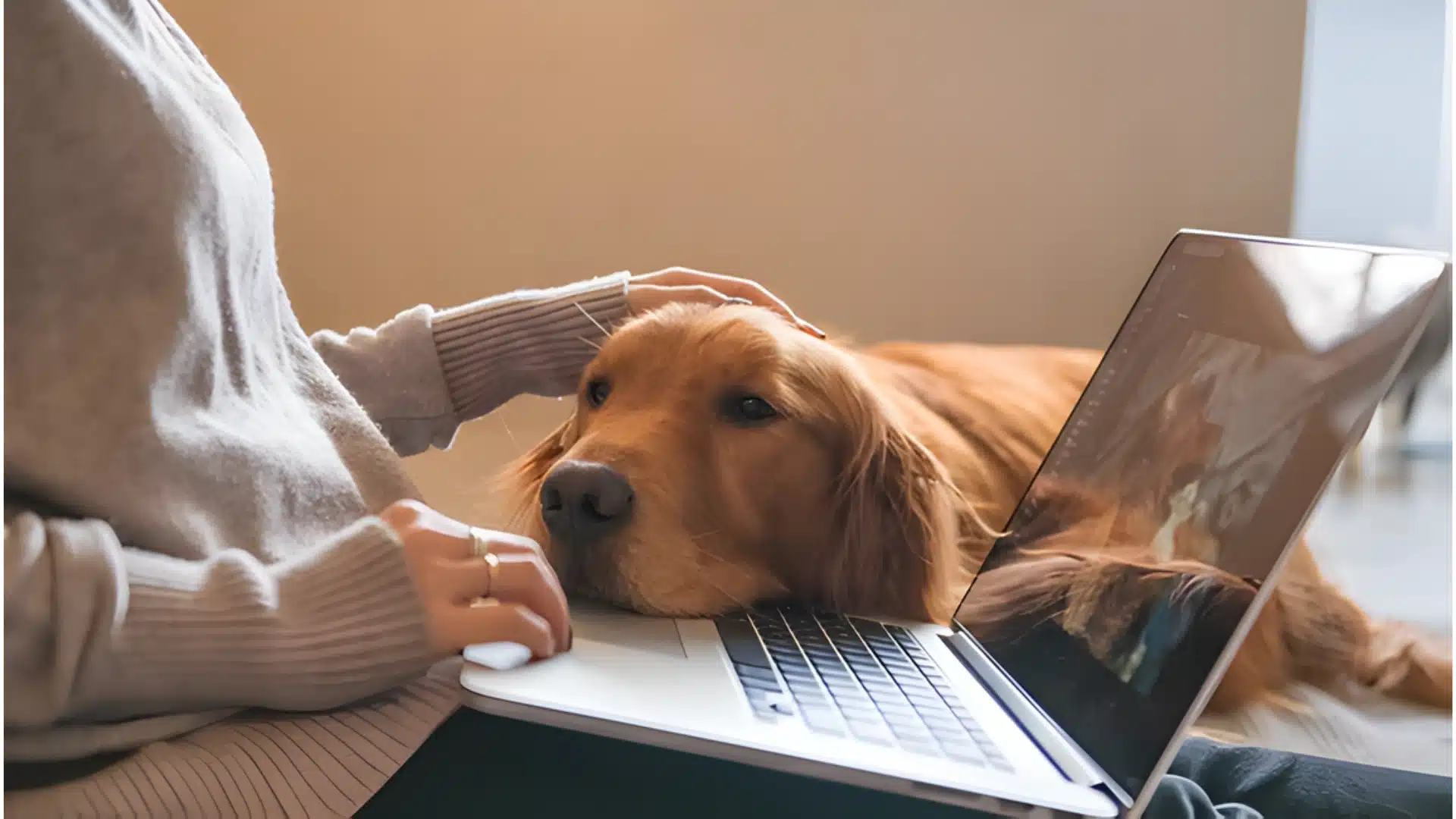 A woman sits on the floor with her affectionate dog, both focused on her laptop screen